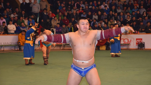 Т.Сайханжаргал: Элэг бүснээс дамжиж барилдахыг илүүд үздэг